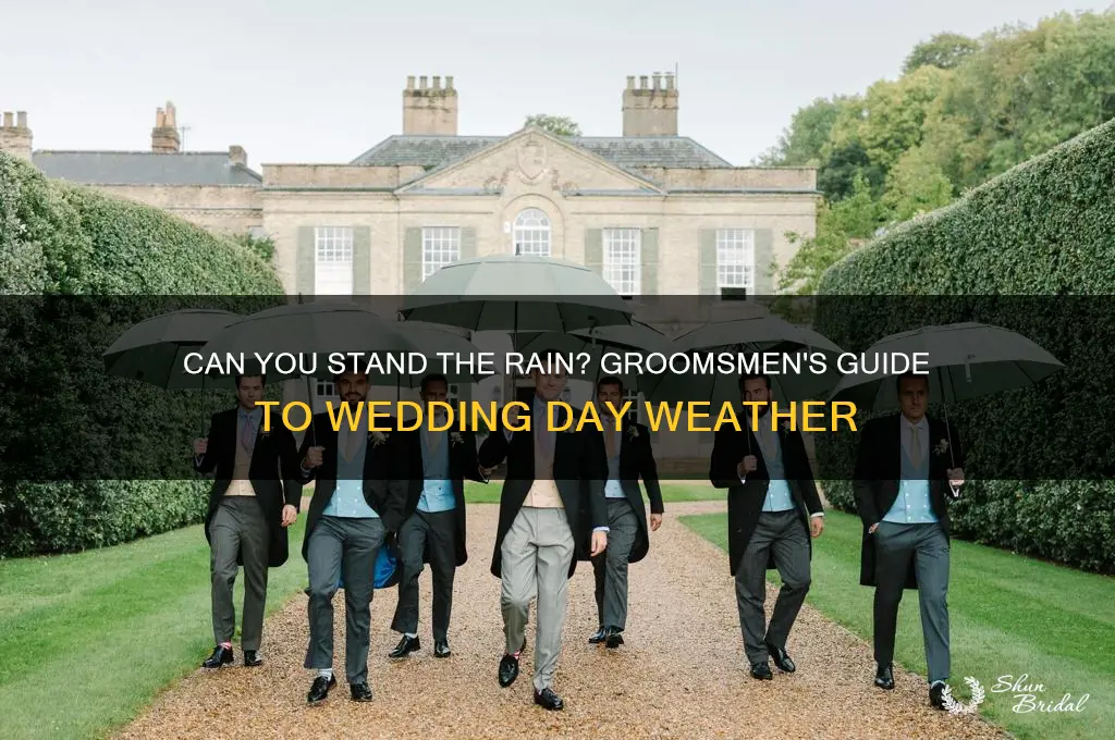 can you stand the rain groomsmen