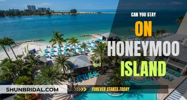 Honeymoon Island Getaway: Exploring Your Stay Options