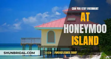 Honeymoon Island: A Perfect Overnight Escape?