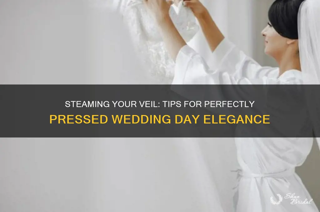 can you steam a veil