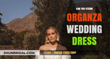 Steaming an Organza Wedding Dress: Dos and Don'ts