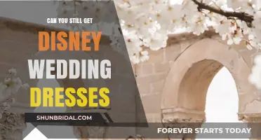 Disney Wedding Dresses: Still Available?