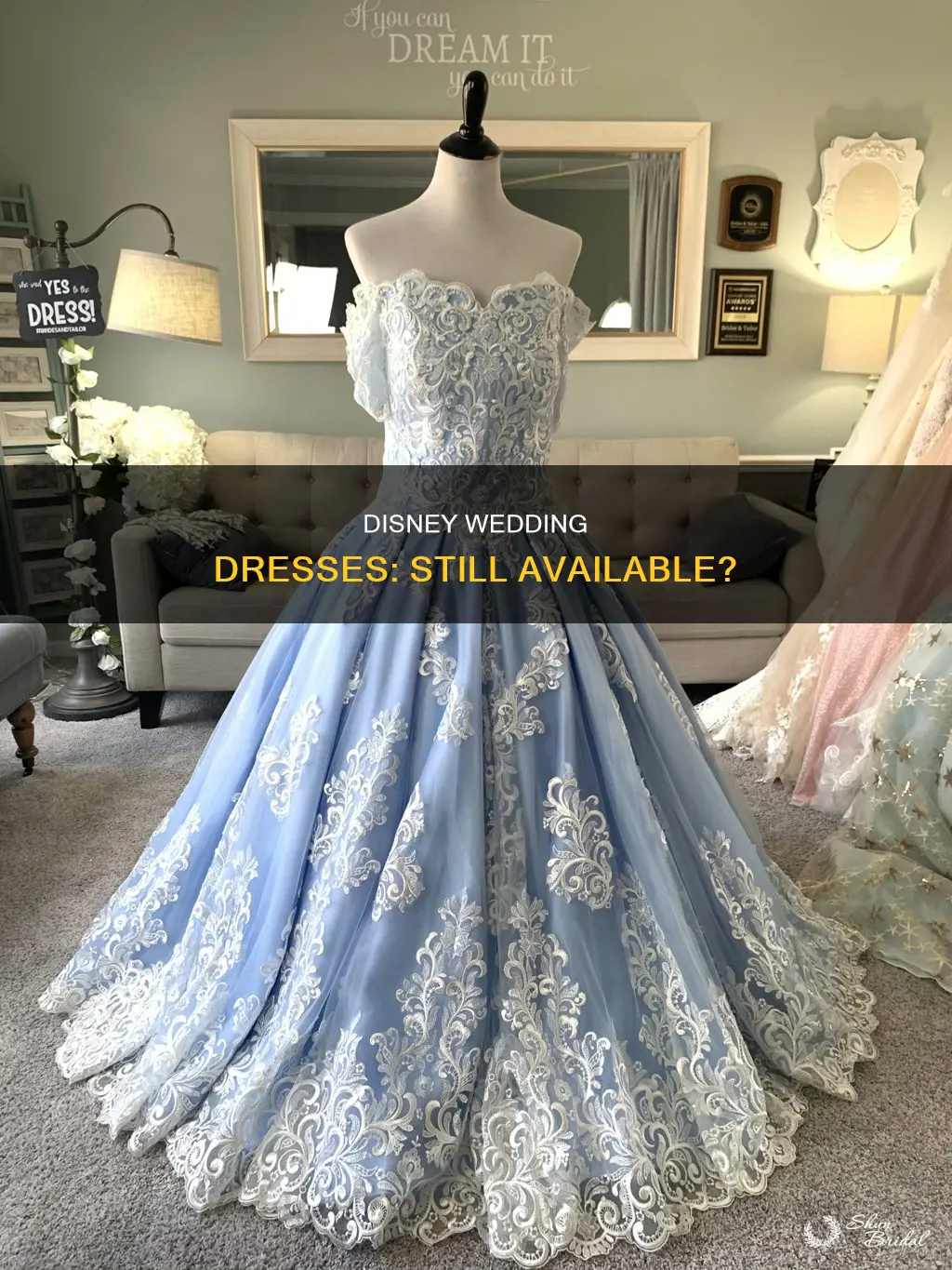can you still get disney wedding dresses