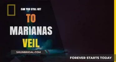 Exploring the Depths: Can You Reach Mariana's Veil Today?