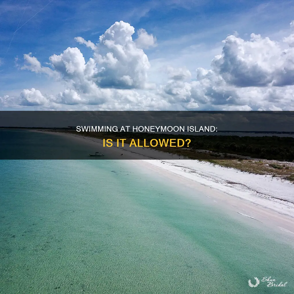 can you swim at honeymoon island