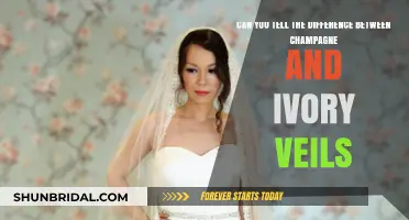 Champagne vs. Ivory Veils: How to Spot the Subtle Differences