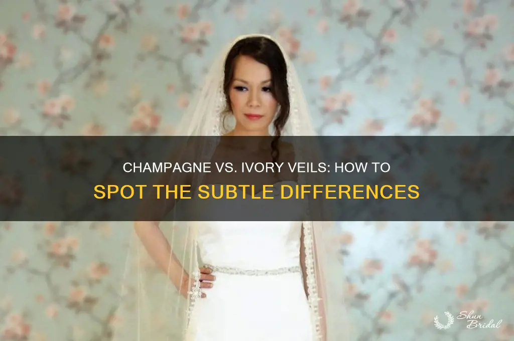 can you tell the difference between champagne and ivory veils