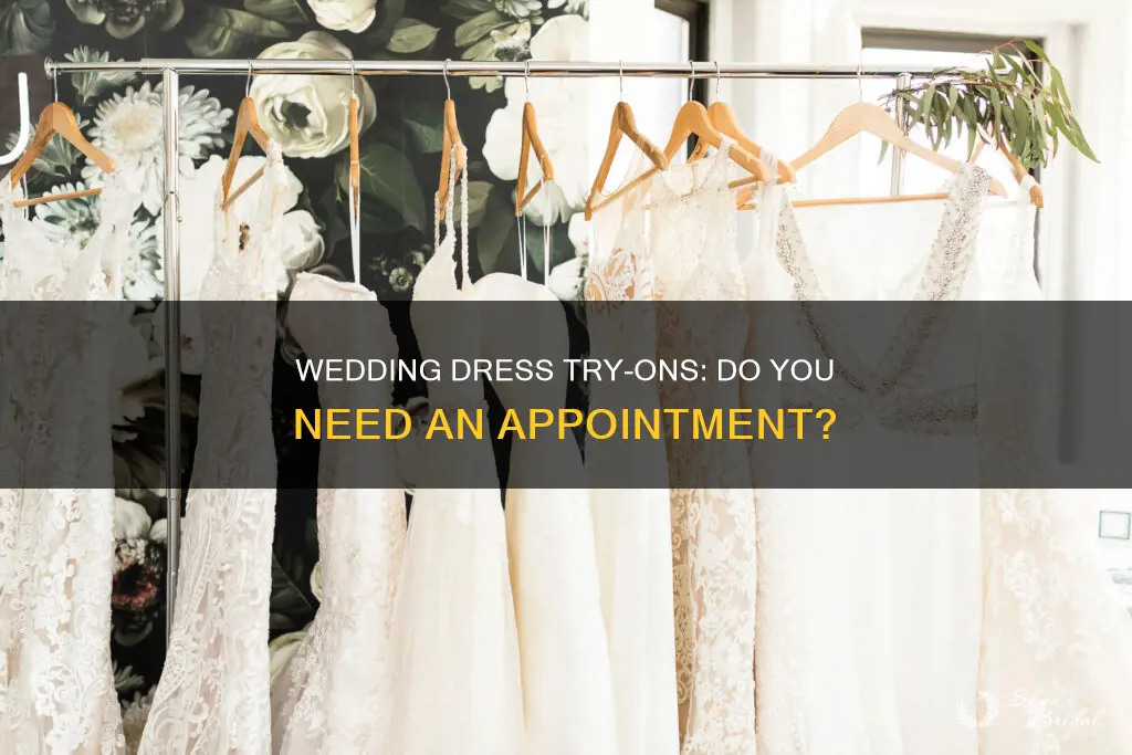 can you try on wedding dresses without an appointment