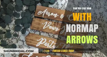 Using Vow with Normal Arrows: Compatibility and Practical Tips Explained