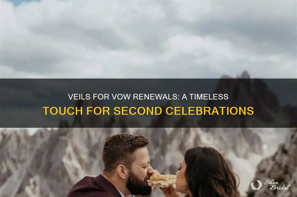 can you wear a veil for a vow renewal