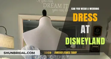 Disneyland Wedding Dress Dreams: Is It Allowed?