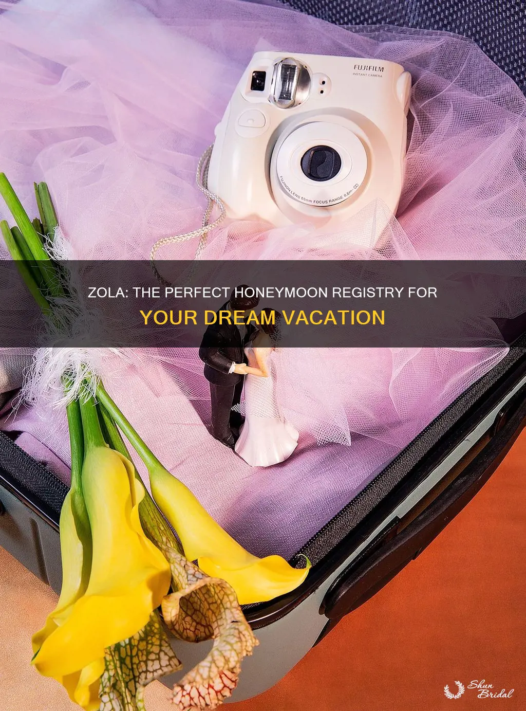 can zola do a honeymoon registry