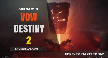 Destiny 2 Vow Pickup Issue: Troubleshooting Guide for Guardians
