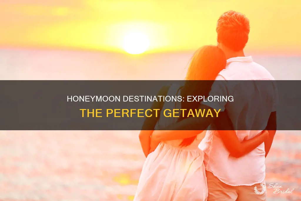 could I have that blog honeymoon