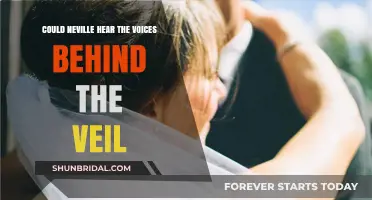 Neville's Perception: Unveiling the Mystery of Voices Beyond the Veil