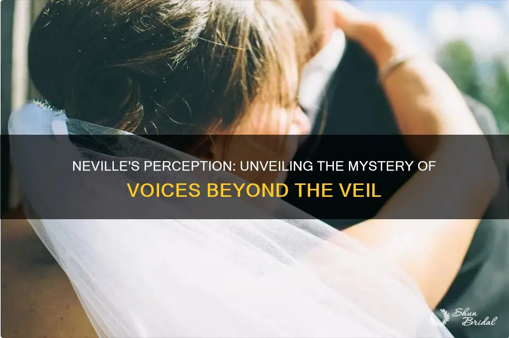 could neville hear the voices behind the veil