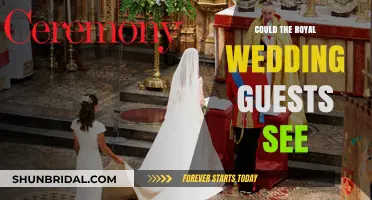 Royal Wedding Spectacle: What Guests Could See at the Ceremony