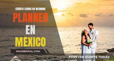 Coste de un Wedding Planner en México