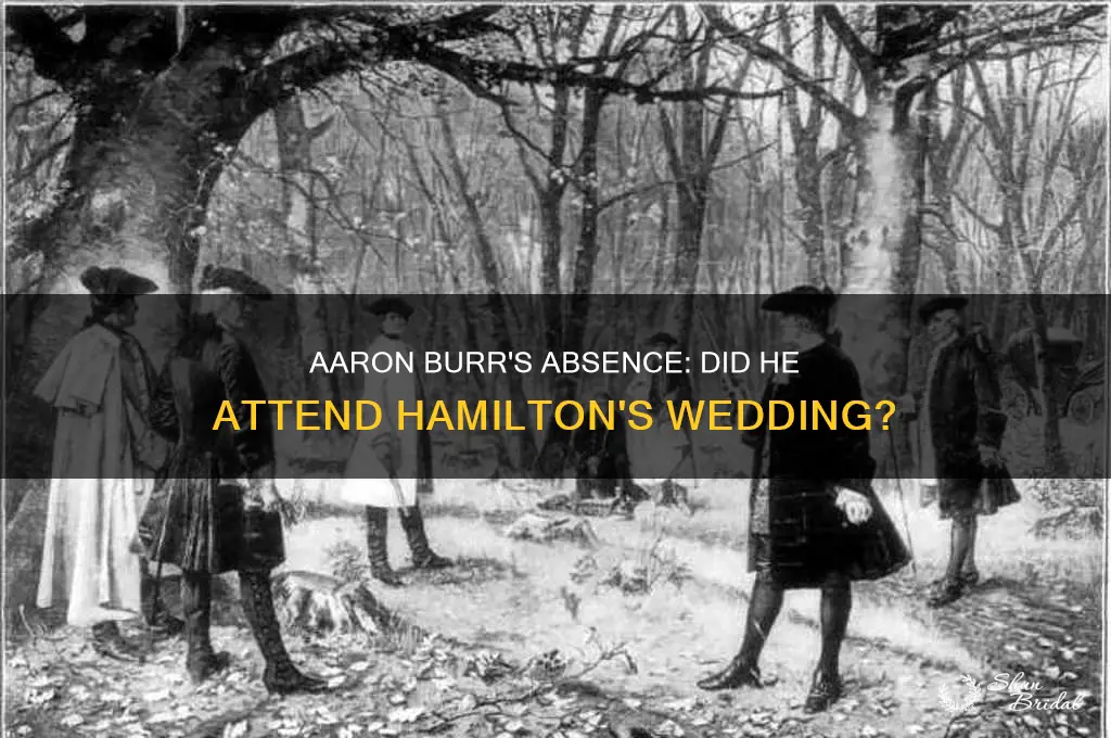 did aaron burr go to alexander hamilton