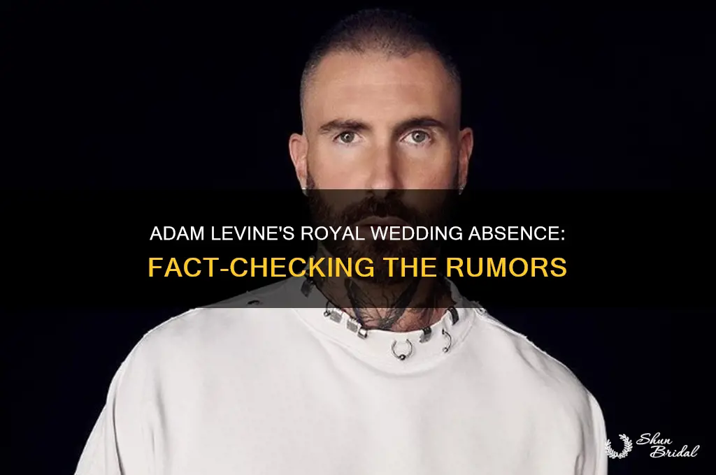 did adam levine attend royal wedding