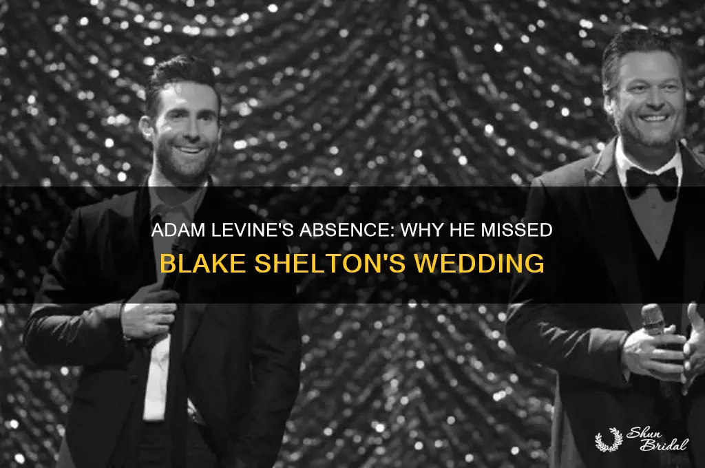 did adam levine go to blake shelton