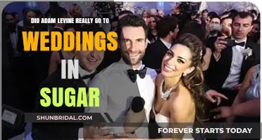 Adam Levine's Wedding Crashing Truth: Sugar or Just a Myth?