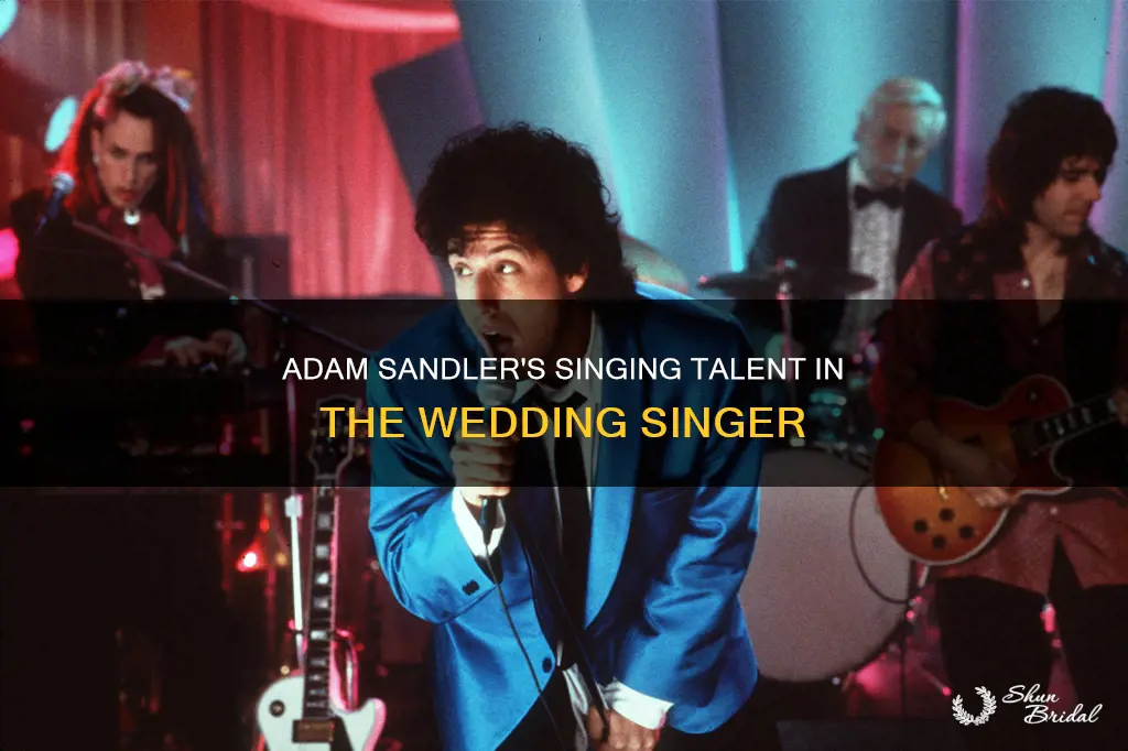 did adam sandler sing all the songs in wedding singer