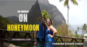 Ambrose's Honeymoon Adventure: A Journey of Love and Discovery