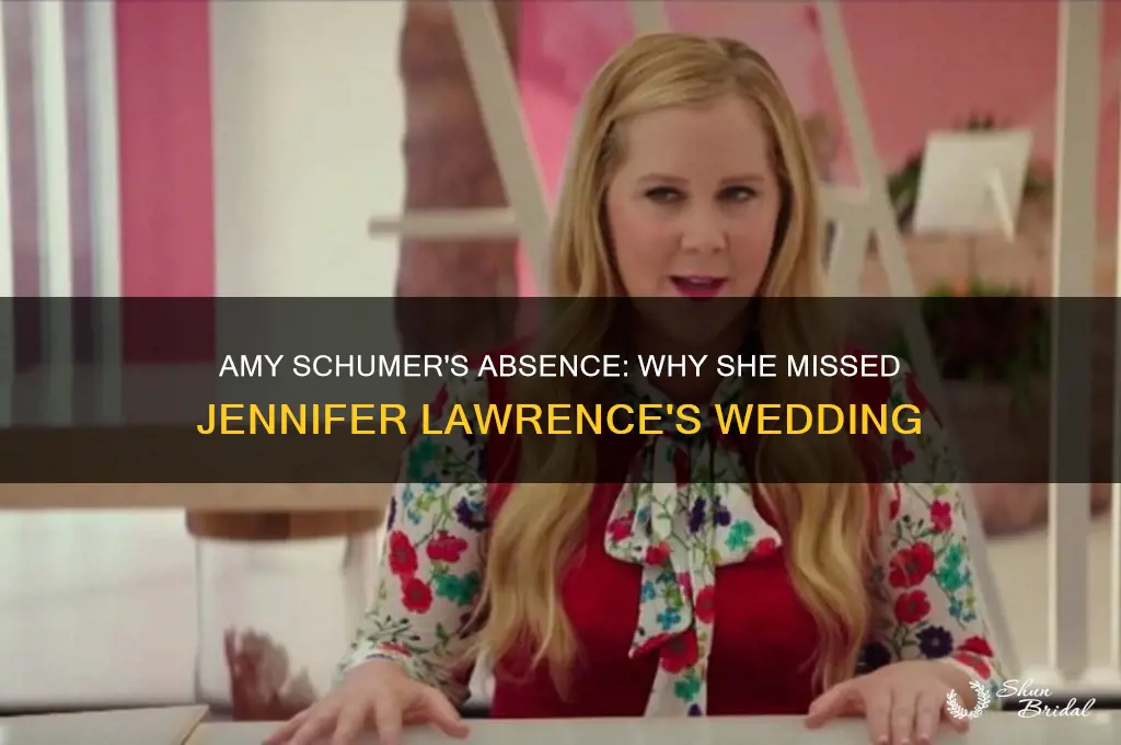 did amy schumer go to jennifer lawrence wedding