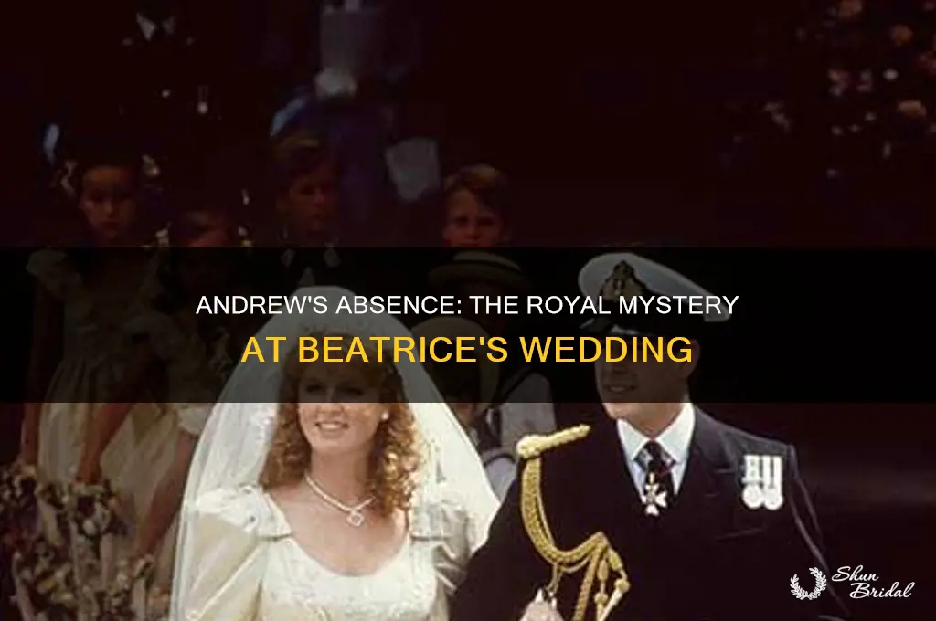 did andrew go to beatrice wedding