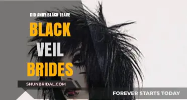 Andy Black's Departure: Has He Left Black Veil Brides?