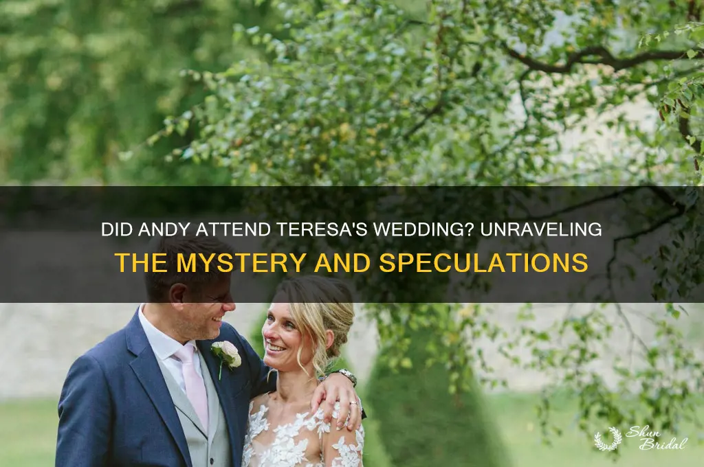 did andy go to teresa