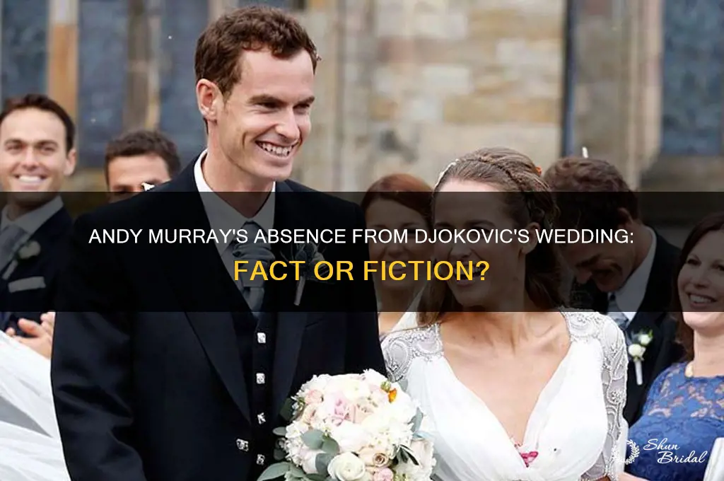 did andy murray go to djokovic wedding