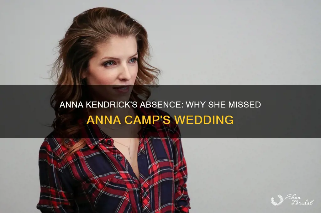 did anna kendrick go to anna camp wedding