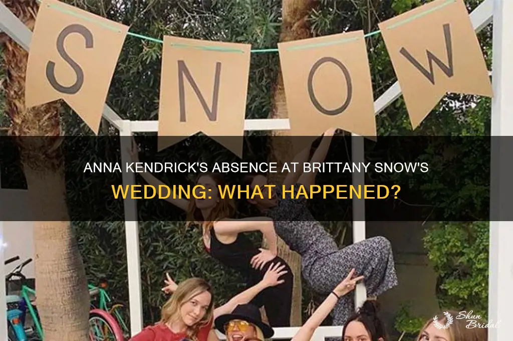 did anna kendrick go to brittany snow