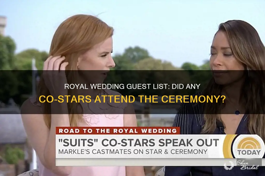 did any co stars attend royal wedding
