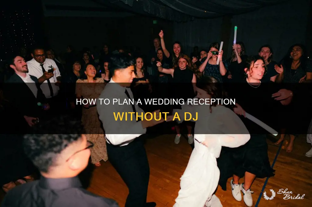 did anyone not have a dj for wedding reception