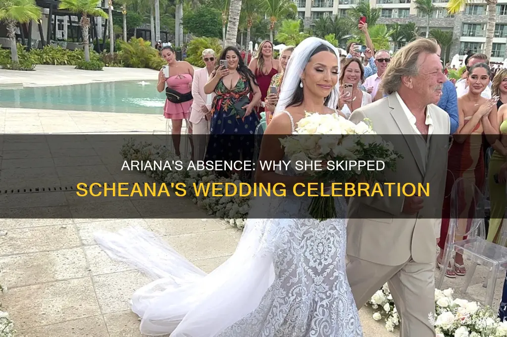 did ariana go to scheana