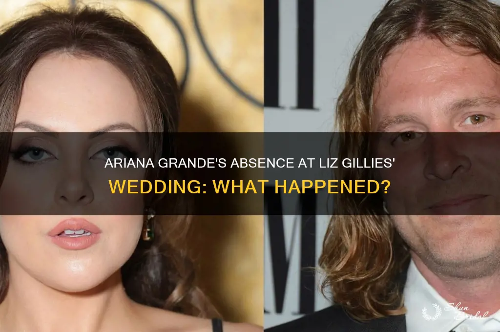 did ariana grande go to liz gillies wedding