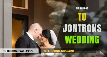 Arin's Absence: Did He Attend JonTron's Wedding?