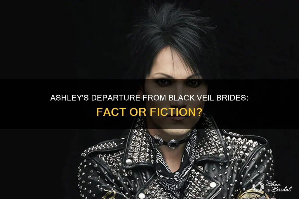 did ashley leave black veil brides