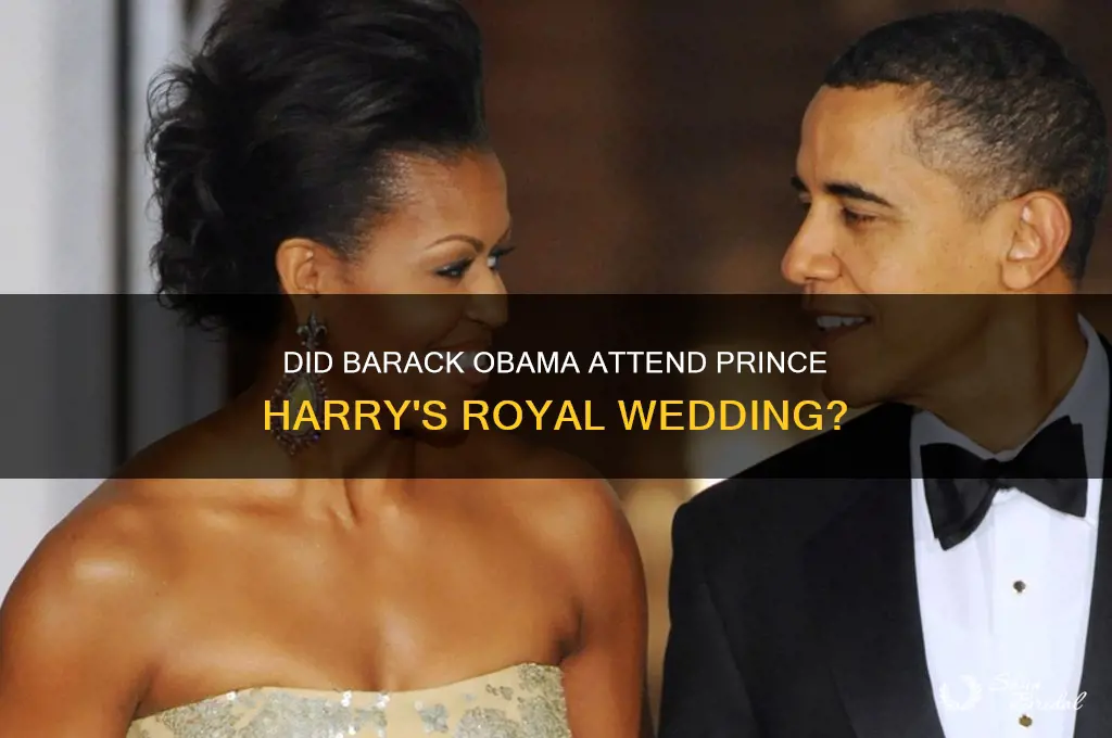 did barack obama go to harry