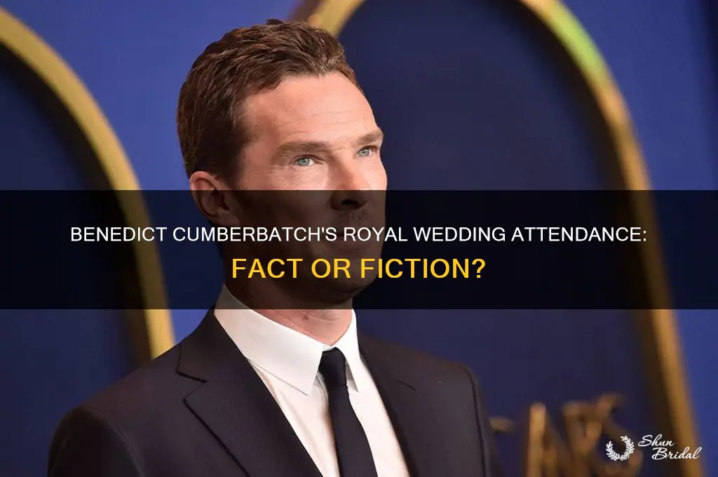 did benedict cumberbatch attend the royal wedding
