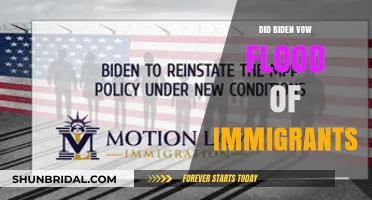 Biden's Immigration Promise: Flood or Policy Shift?