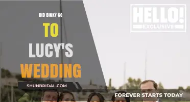 Binky's Absence: The Truth About Lucy's Wedding Day