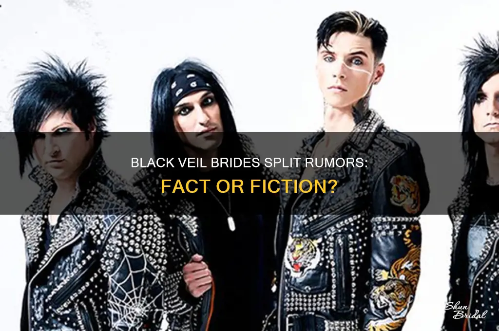 did black veil brides split