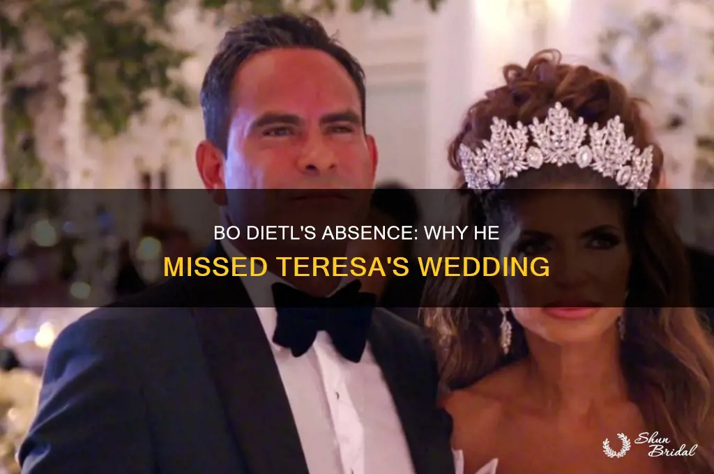 did bo dietl go to teresa