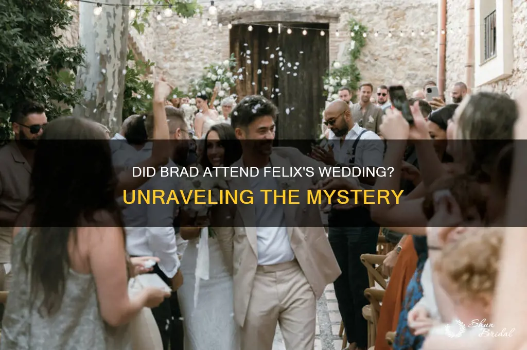 did brad go to felix