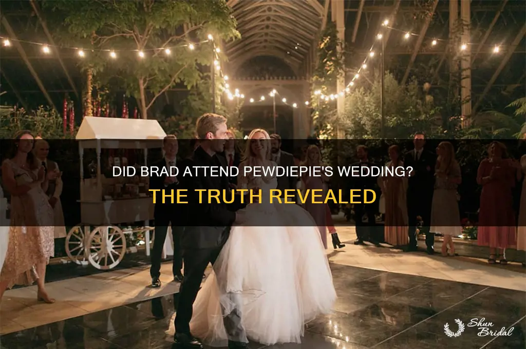 did brad go to pewdiepie