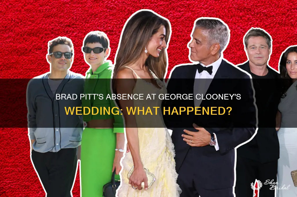 did brad pitt go to george clooney